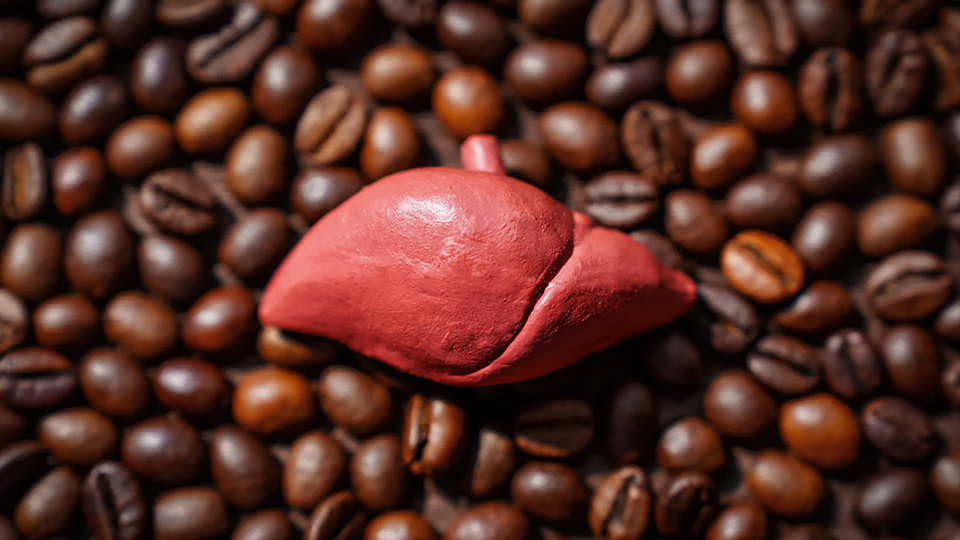 Coffee And Liver Health Study